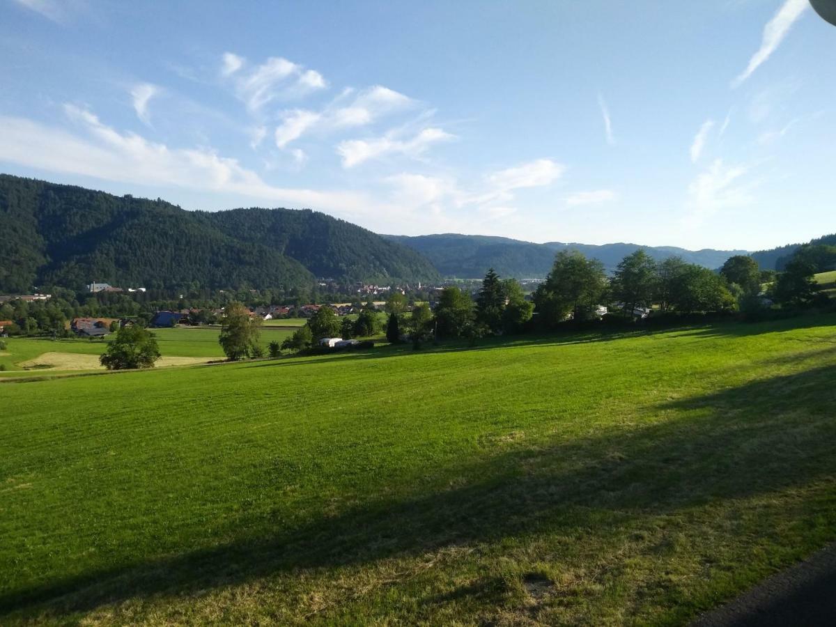 Ferienwohnung Am Eichbuehl Waldkirch Extérieur photo
