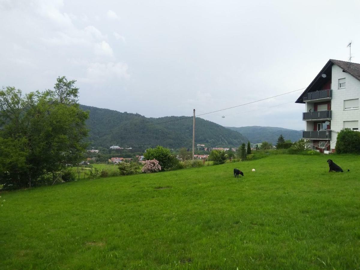 Ferienwohnung Am Eichbuehl Waldkirch Extérieur photo